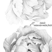 Peony - Black and white