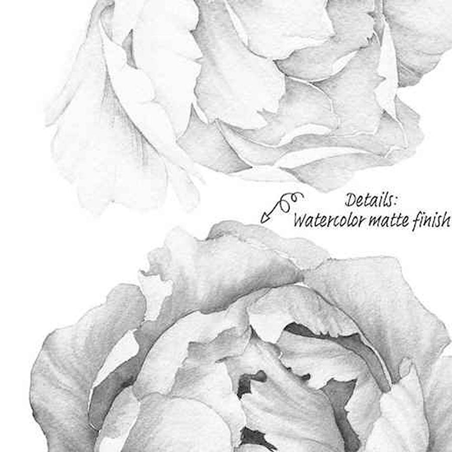 Peony - Black and white